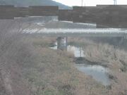 2026-01-30 14:00:00 +0900