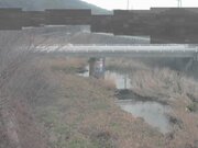 2026-01-30 16:00:00 +0900