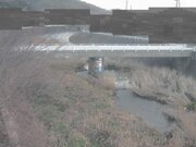 2026-02-08 07:00:00 +0900