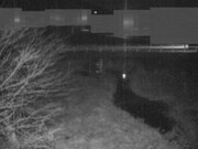 2026-03-17 04:00:00 +0900