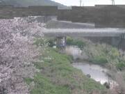 高藪橋