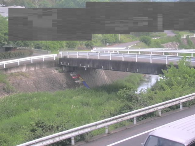 拡大画像