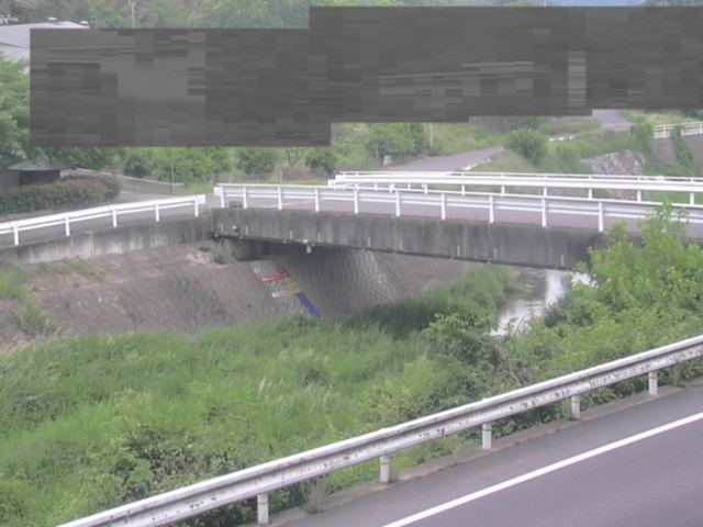 拡大画像