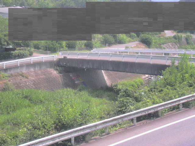 拡大画像