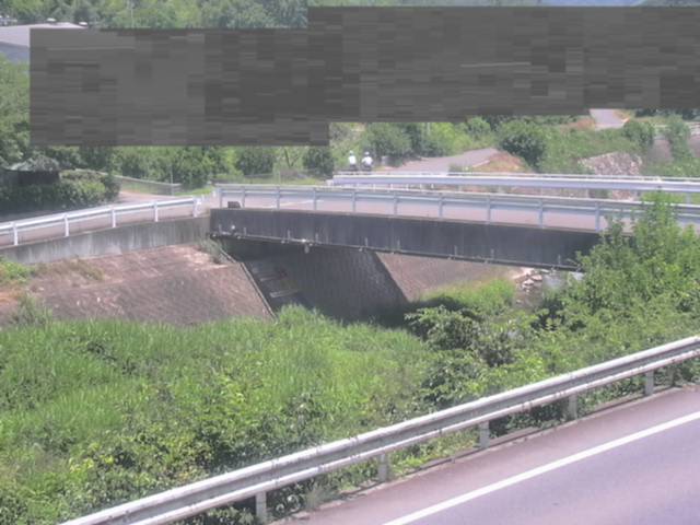 拡大画像