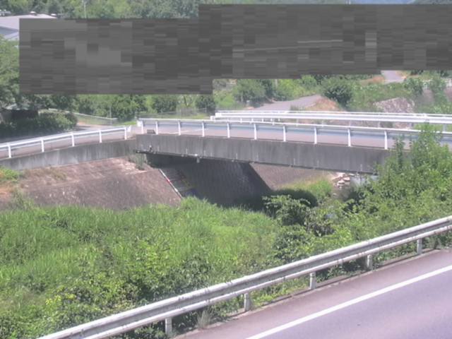 拡大画像