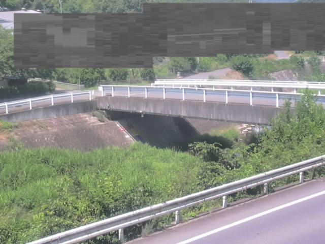 監視画像