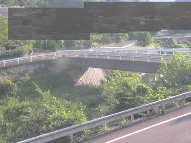 拡大画像