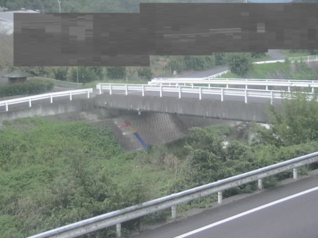 拡大画像