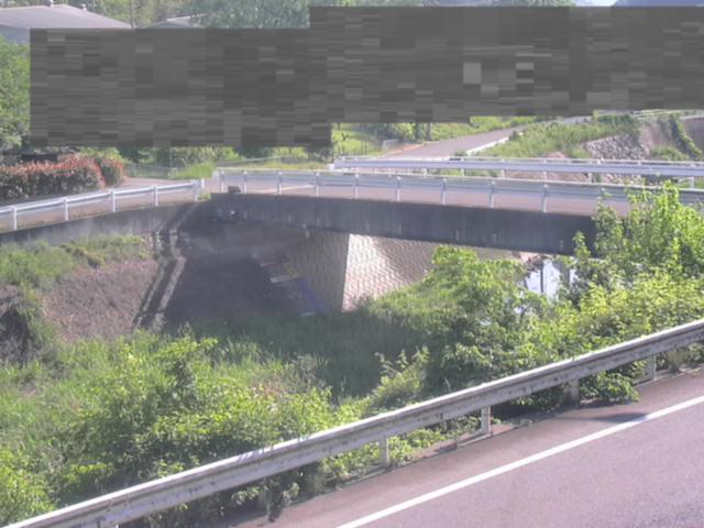 拡大画像