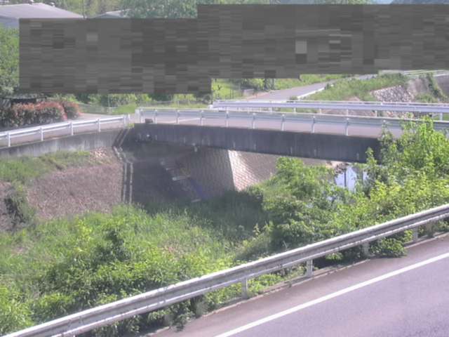 拡大画像