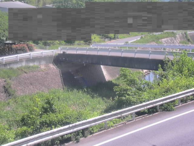 拡大画像