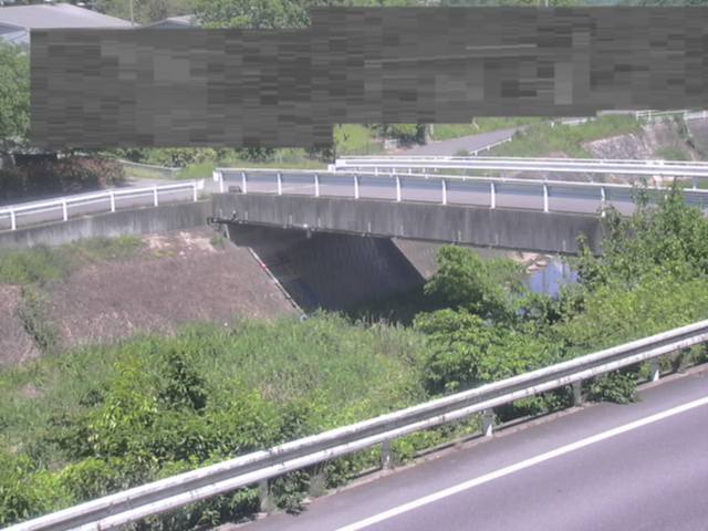 拡大画像