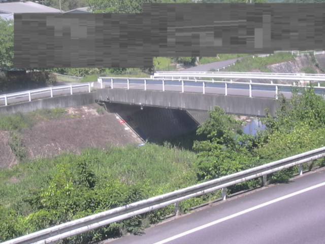 監視画像