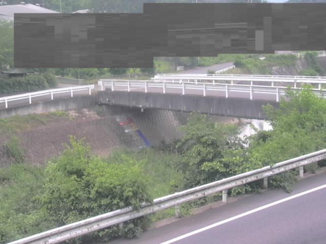 監視画像