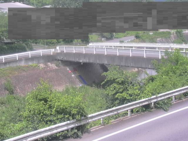 監視画像