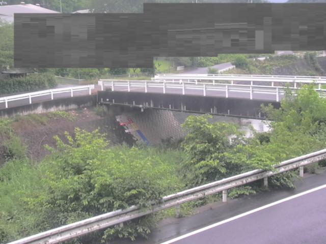 拡大画像