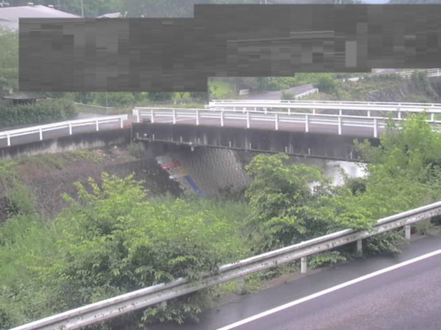 拡大画像