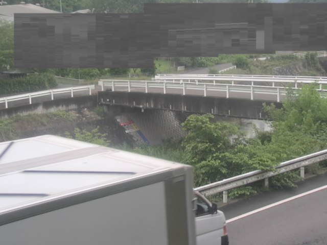 拡大画像
