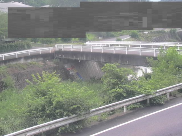 拡大画像