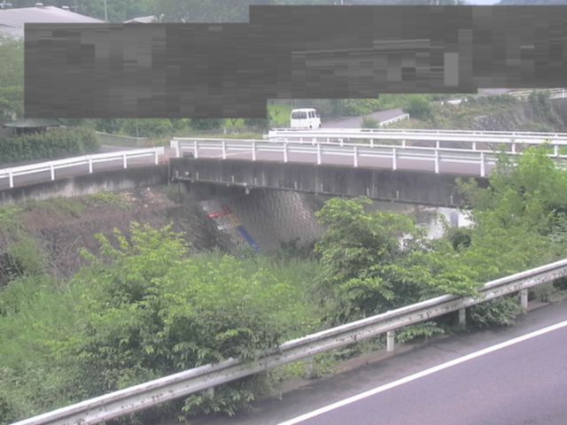 拡大画像