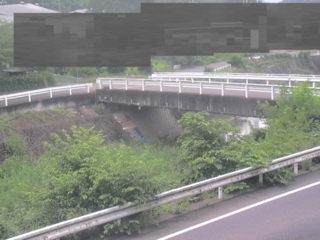 拡大画像