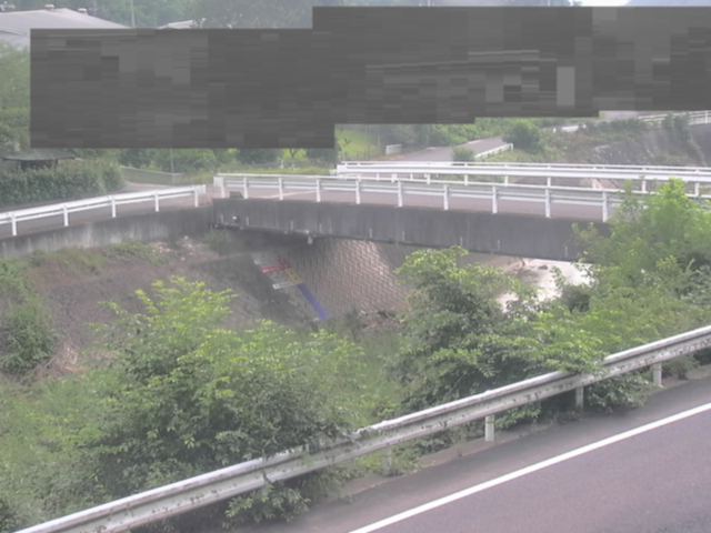 拡大画像