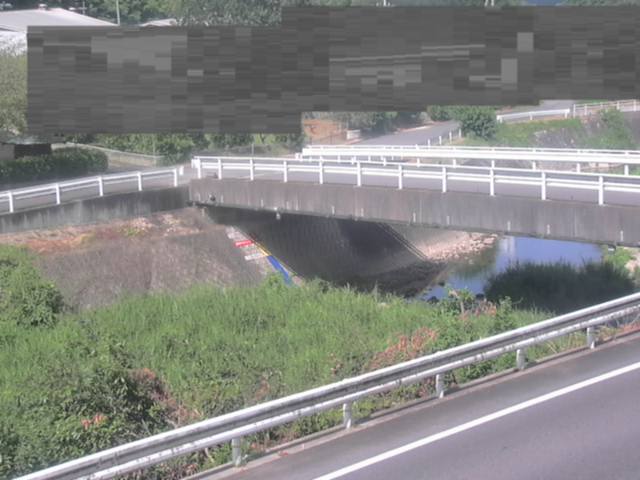 拡大画像