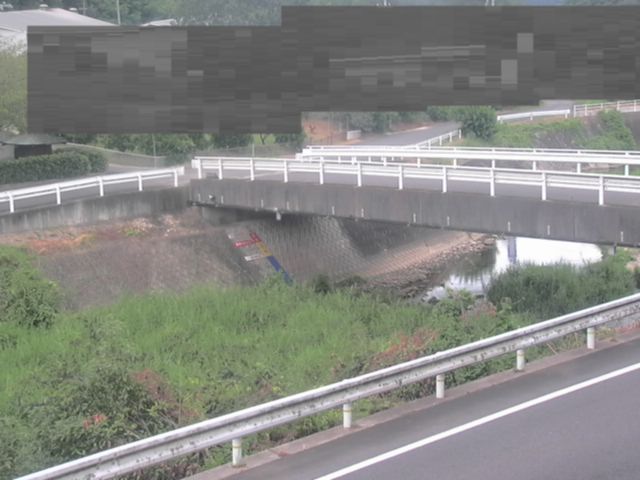拡大画像