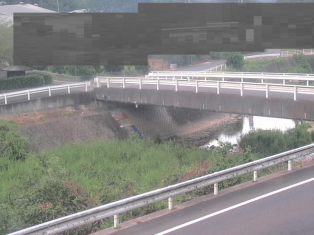 拡大画像