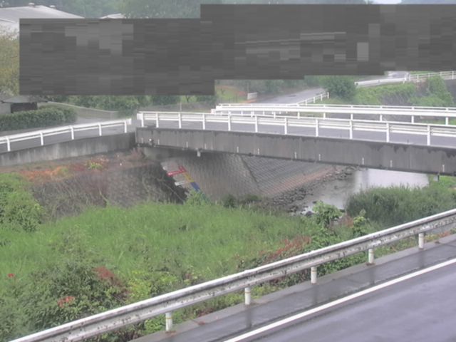 拡大画像