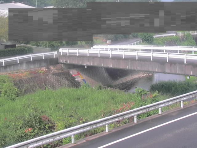 拡大画像
