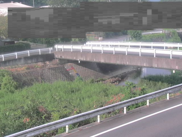 拡大画像