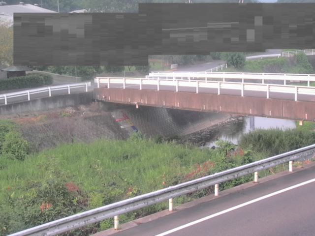拡大画像