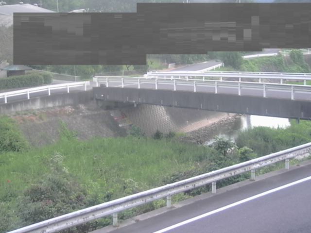 監視画像