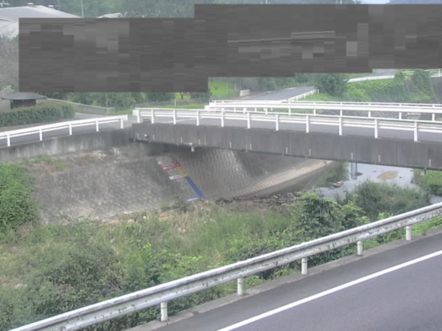 拡大画像