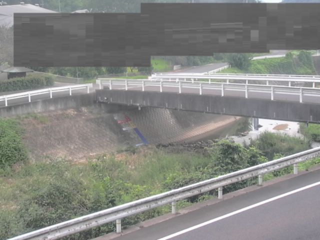 拡大画像
