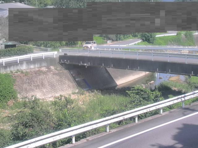 拡大画像
