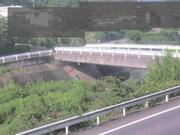 佐股橋