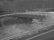 佐股橋