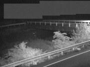 佐股橋