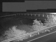 佐股橋