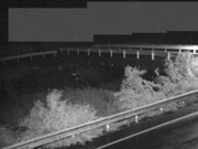 佐股橋