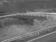 佐股橋