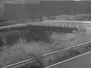 佐股橋