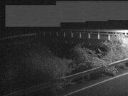 佐股橋