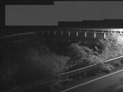 佐股橋