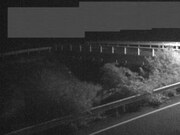 佐股橋