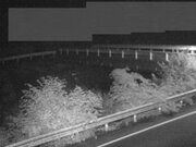 佐股橋
