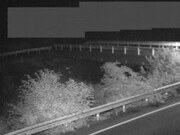 佐股橋